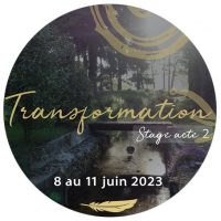 transformation_ transformation_