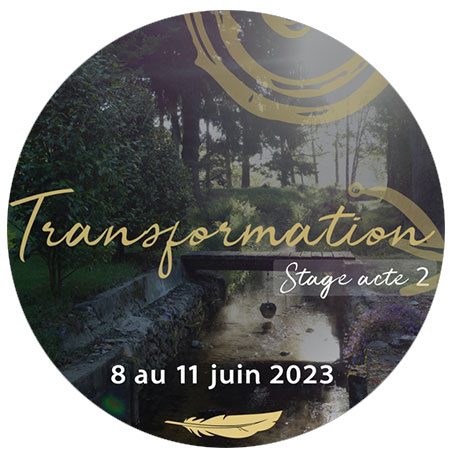 transformation_ transformation_