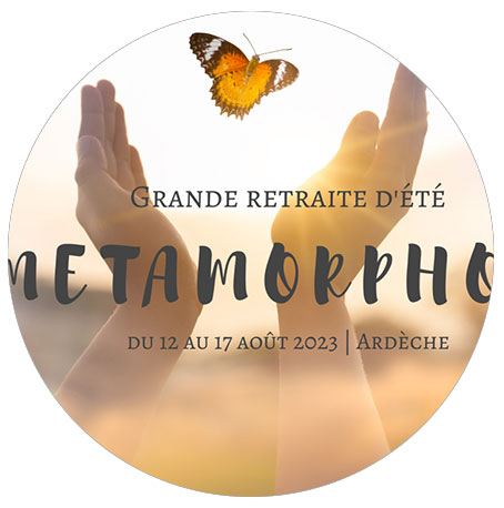 METAMORPHOSE_ METAMORPHOSE_