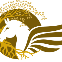 4fd39dc828adedc4aaead9034f484fba0b7aa865