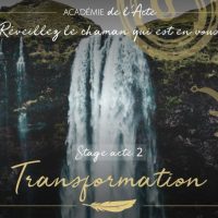 TRANFO_ACT_2 TRANFO_ACT_2