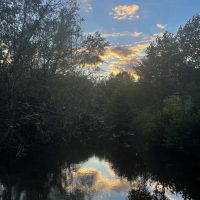 immersion-permet-Ot-5djeS